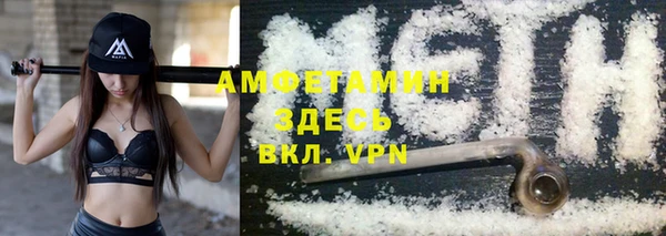 индика Приозерск